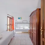 Ginepro Arancione